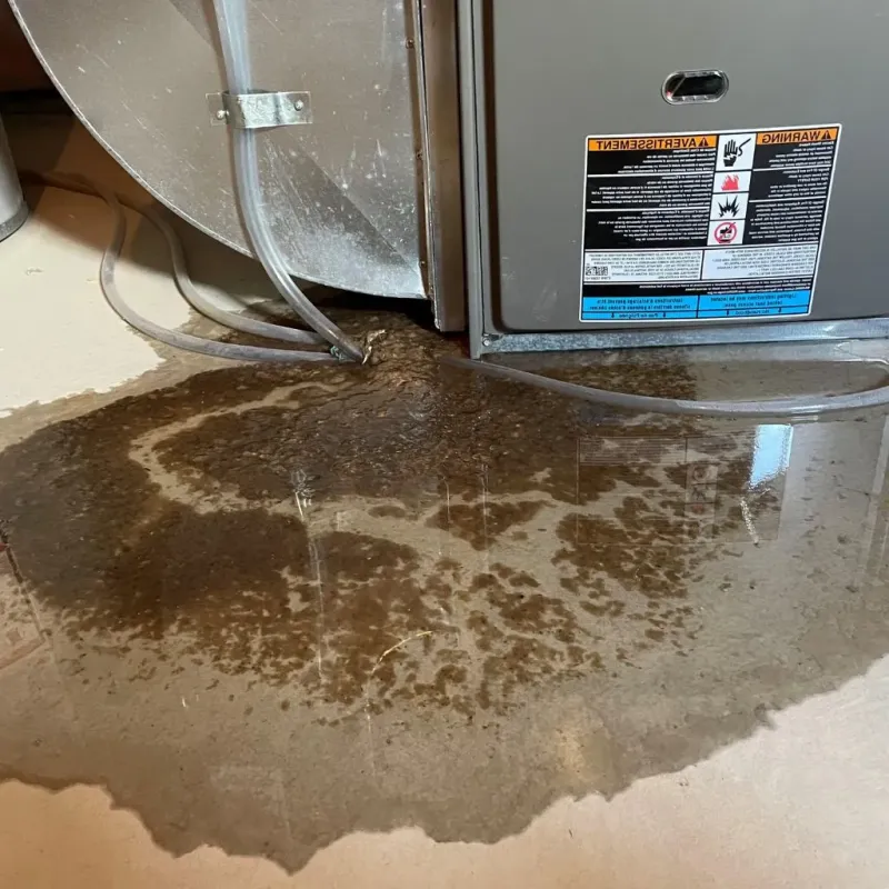 Pipe Burst and Leak Restoration in Washington County, OK